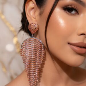 Curtain Tassel Earrings