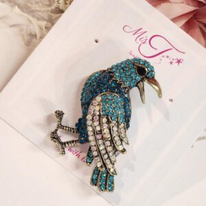Crow-ess Brooch