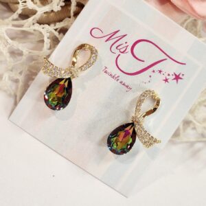 Elegant Multi Colour Earrings